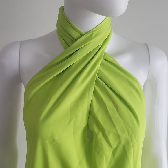 Show Me Your MuMu Jasmine Halter Mini Dress - Picture 3 of 12